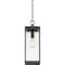 Quoizel Westover 1-Light Earth Black Outdoor Hanging Lantern WVR1907EK - alternate 7